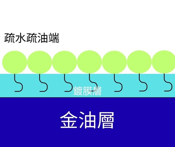 548728717_122124295736952110_5255781207295653032_n