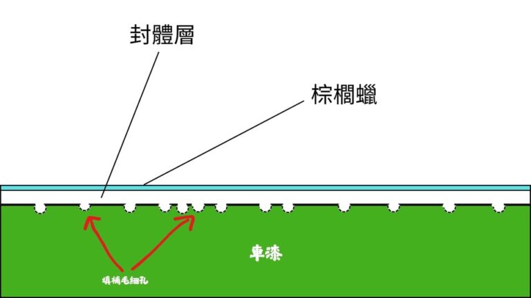 552306642_122125306478952110_227223969815276777_n (1)